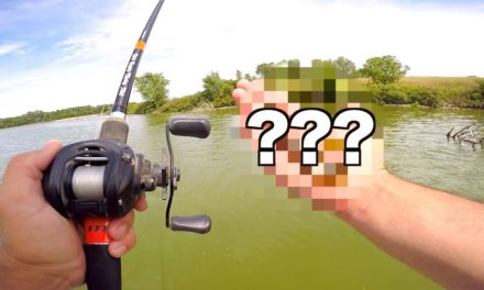 Flair – I Can’t BELIEVE this Lure WORKS!!!!