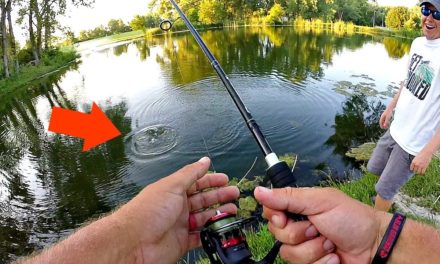 IMPOSSIBLE Fishing Challenge?? Pond BASS FISHING w/ 2 lb Line!!!