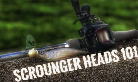 Ledge Fishing Tips Scrounger Jig Head Fishing