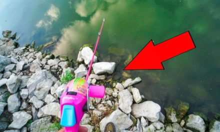 Flair – MICRO Fishing in TINY Rock Cracks!!!!