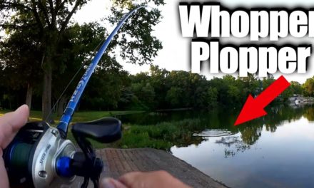 Morning Topwater Bass Fishing with a Whopper Plopper – FINALLY!