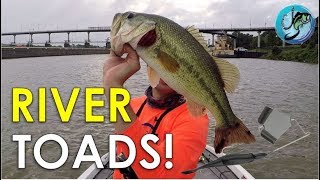 My Best Summer Pattern for River Bass | Bass Fishing Strategies