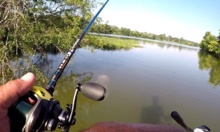Pitching For Bass Around Shallow Cover