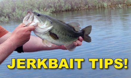 Proven Bass Fishing Jerkbait Tips With Hank Parker | Bass Fishing
