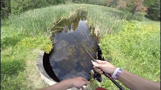 Roadside Small Creek Fishing For Clear Water Bass
