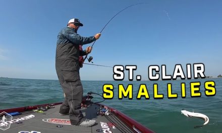 Scott Martin Takes On Lake St. Clair! | Smallmouth Bass Fishing
