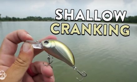 Shallow Crankbait Fishing In Warm Water For Big Reaction Strikes