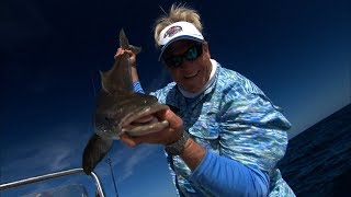 Sight Fishing 50lb Monster Cobia Port Canaveral Florida’s Space Coast