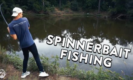 Spinnerbait Fishing Tips | Pond Bass Fishing with Finatic!