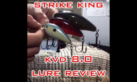 Strike King KVD 8.0 Square Bill Crank Bait Lure Review