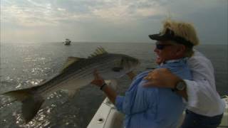 Striper Fishing Block Island Rhode Island with Live Bait