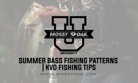 Summer Bass Fishing Patterns | KVD Fishing Tips