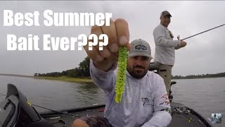 Summer Bass Fishing Tips: Best Summer Bait Ever!