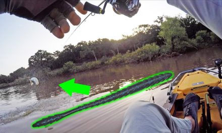 Summer Kayak Bass Fishing with SUBTLE Finesse Worm Tactic