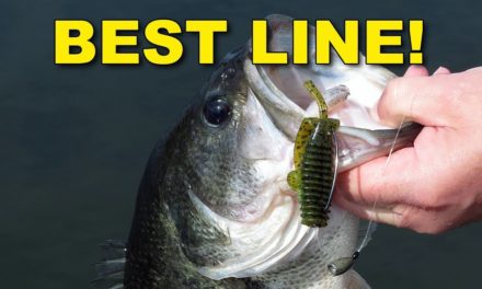 The Best Fishing Lines for Texas Rigging | Bass Fishing