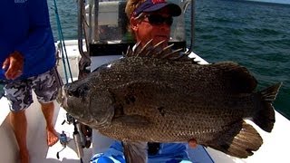 Tripletail Fishing Under Buoys in St Augustine Florida