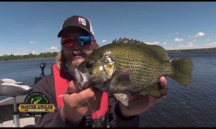 Trophy Rock Bass Fishing in Manitoba – Manitoba Master Angler Minute