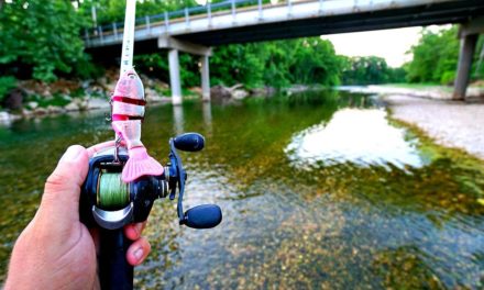ULTRA CLEAR Creek Fishing for Bass — Fly Rod vs. Conventional Tackle