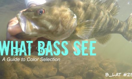 What Bass See (B.Lat #25) How to Select Lure Colors
