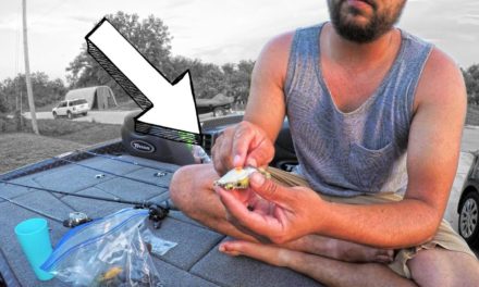 3 TYPES of FROG FISHING any Angler MUST know to Catch BASS