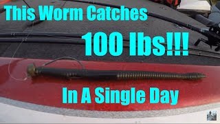 Bass Fishing Plastic Worms: 100lbs of Bass In Single Day