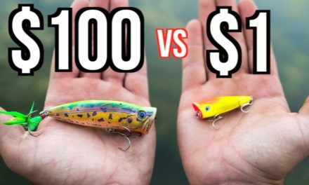 Flair – CHEAP vs EXPENSIVE Topwater Popper Fishing CHALLENGE!!!