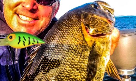 Catch Smallmouth Cranking Crankbaits – Big Bass Fishing Secrets!