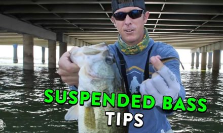 How To Catch Those Tricky Suspended Bass With Lake Fork Guy!