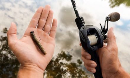 How To Fish The BEST Finesse Bait For Bass Fishing (Ned Rig)