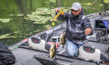 How to Catch Bass in Rivers – Current Fishing Secrets