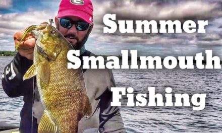 How to Find Fish – Finding Smallmouth Bass in the Summer