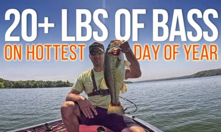 Ledge Fishing for Bass on the Hottest Day of the Year