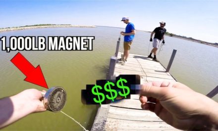 Flair – MAGNET Fishing Popular Fishing Spots!!! (Expensive Find!)