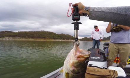 Lunkers TV – Mexico produces GIANT BASS!!