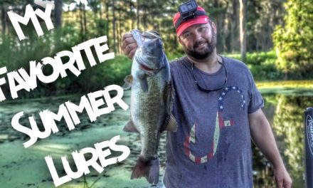 My Favorite Summer Bass Fishing Baits and Lures