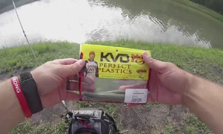 Neighborhood Pond Fishing with Strike King KVD Lures!