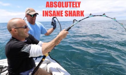 SHARK FISHING SOLDIERS MUST SEE !!