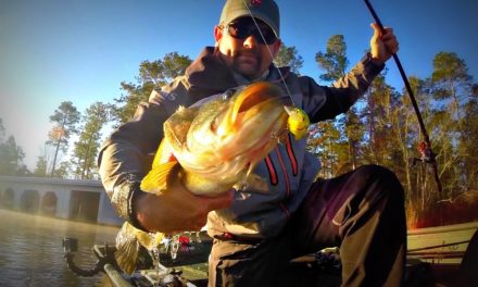 Squarebill Fishing 101 – Crankbait Bass Fishing During the Spawn