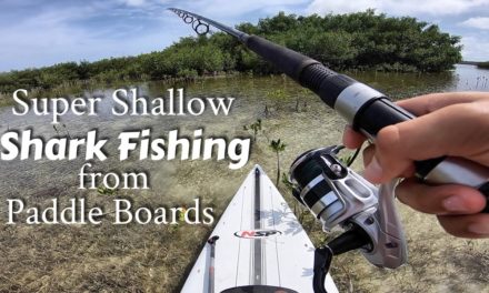 Scott Martin Pro Tips – Super Shallow Shark Fishing from Stand Up Paddleboard – Ft. Hilary and Amelia