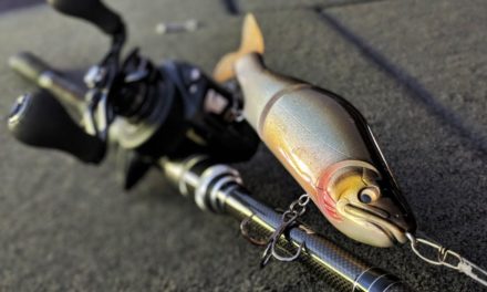 The MOST Consistent Baits for Fall Bass Fishing