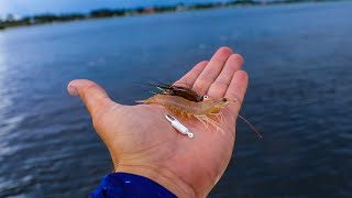 Lawson Lindsey – The Secret Easiest Way to Catch Saltwater Fish