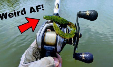 This WEIRD Bass Fishing Lure SAVED THE DAY!!! (WTF is it???)