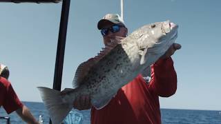 Salt Strong | – Top 3 Grouper Fishing Mistakes (Are You Making One Of These)?