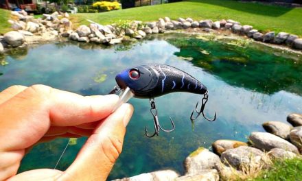 Unlikely Fishing Lure catches BIG Pond Bass!!!