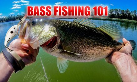 BASS FISHING for Beginners Part 1