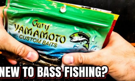 Bass Fishing for Beginners: SENKO / STICK BAIT – HOW TO RIG & WHERE TO USE IT (2018)
