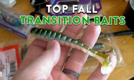 Best Bass Fishing Lures For The Fall Transition Period