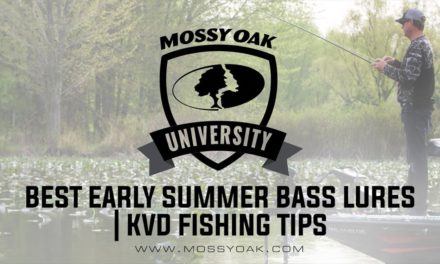 Best Early Summer Bass Lures | KVD Fishing Tips