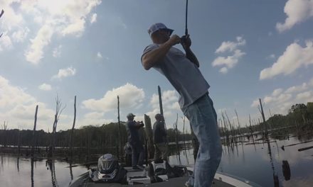 Catching Bass on Top Water with Popping Perch at Naconiche