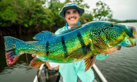 Flair – Catching GIANT Peacock Bass in the Amazon!!! (NEW PB)
